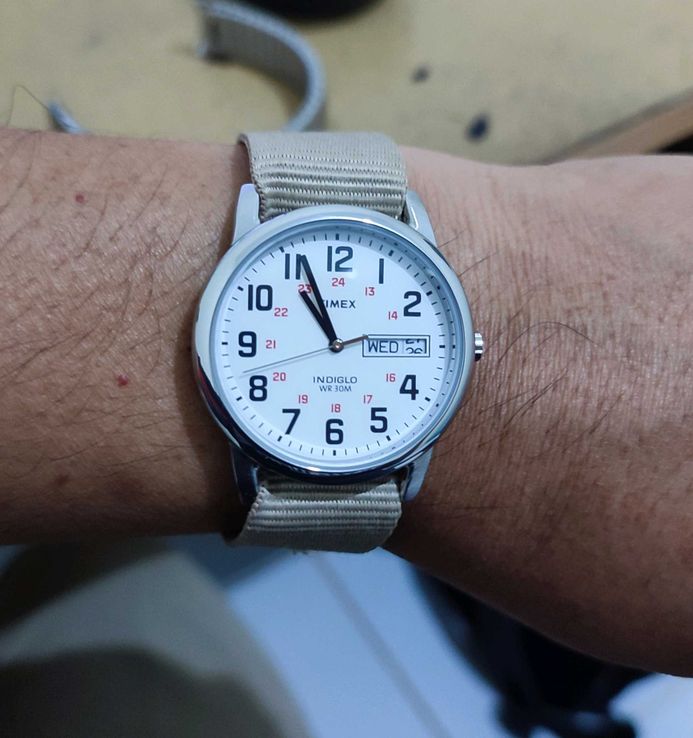 Timex Easy Reader T20461 Indiglo White Dial Stainless Steel Timex Easy Reader T20461 Indiglo White Dial Stainless Steel