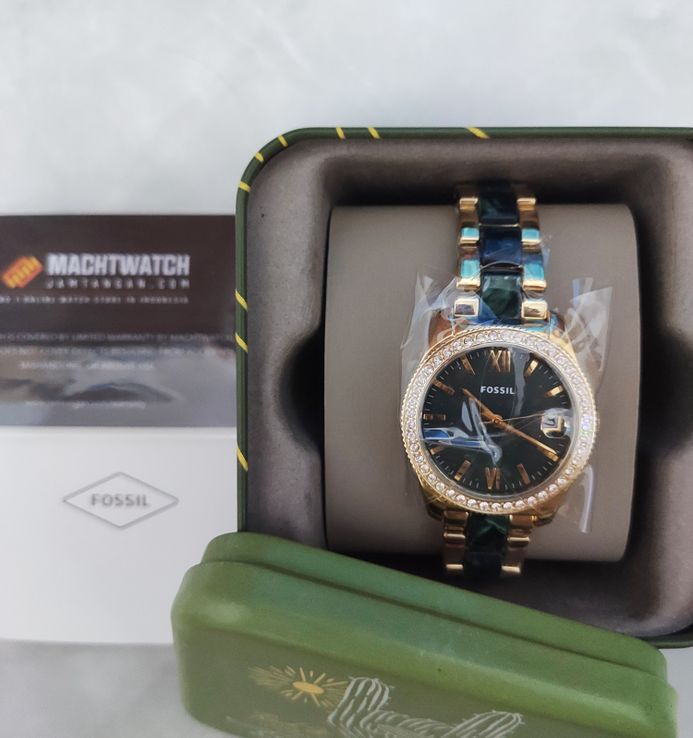 Es4676 fossil online