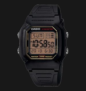 Casio Standard W-800HG-9AVDF Digital Dial Black Resin Band