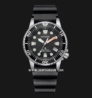 Harga citizen promaster top