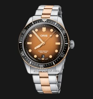 Oris Diver 01-733-7707-4356-07-8-20-17 Sixty-Five Brown Dial Dual Tone Metal Strap