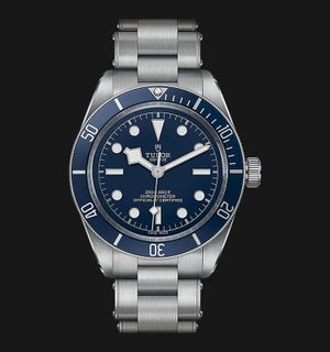 Harga tudor black bay best sale