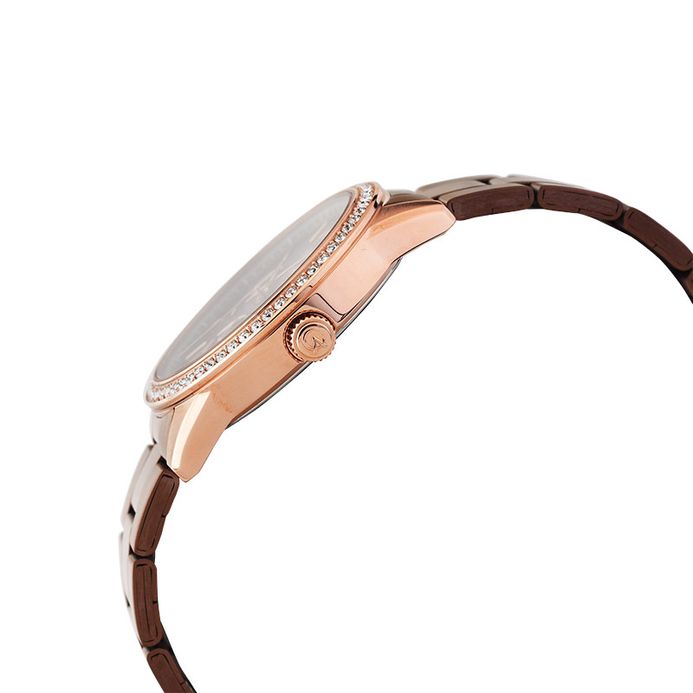 Alexandre Christie AC 2A46 BF BROBO Ladies Brown Dial Brown