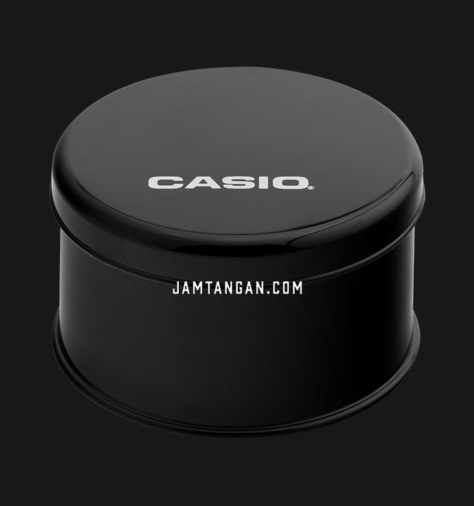 Casio General MQ-24-1B2LDF Classic Black Dial Black Resin Band