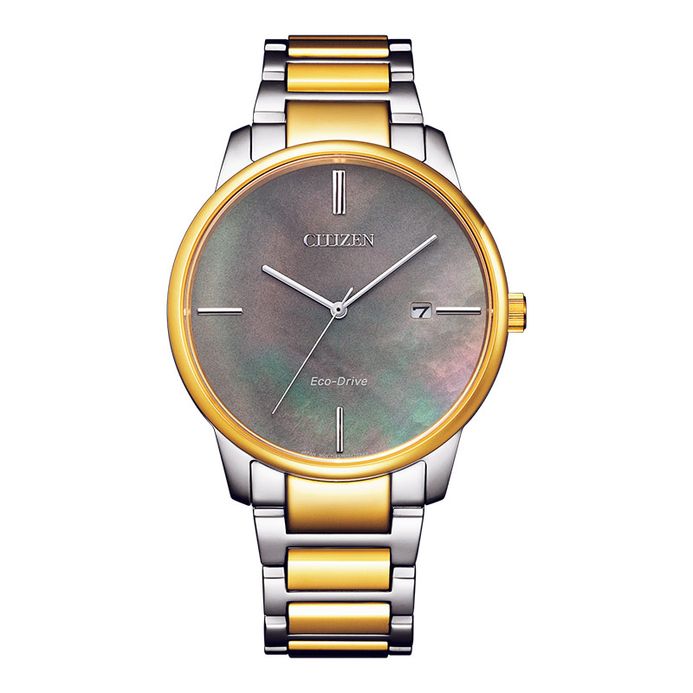 Citizen Promaster Citizen Watch Battery Replacement Cost Citizen