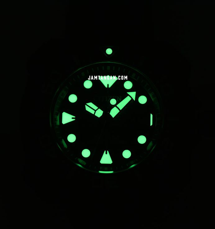 Citizen Promaster BN0225-04L Whale Shark Marine Super Titanium + Extra Strap Limited Edition