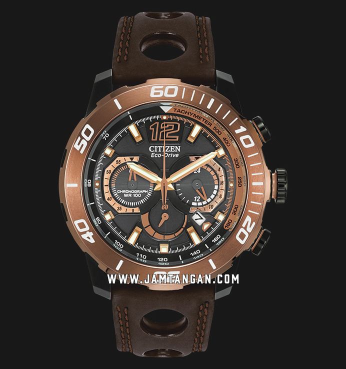 Citizen primo stingray top
