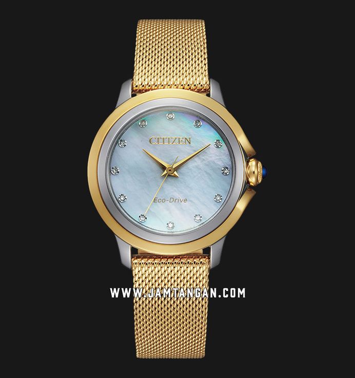 Jam citizen eco drive clearance