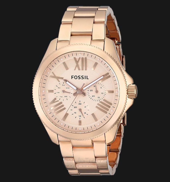 Am4511 fossil on sale