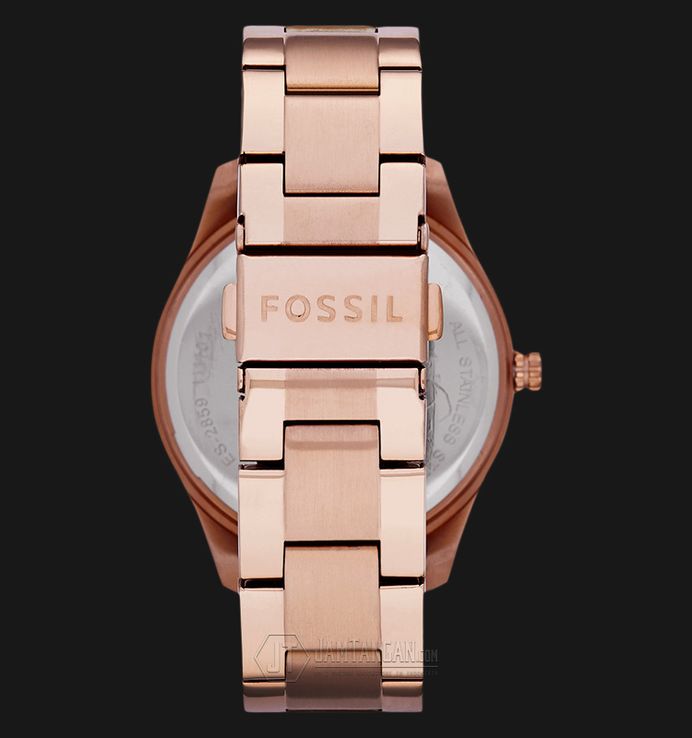 Fossil stella es2859 cheap