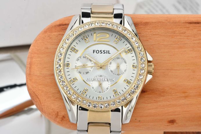 Es3204 Riley Fossil Fossil Riley Multifunction Two-Tone Ladies