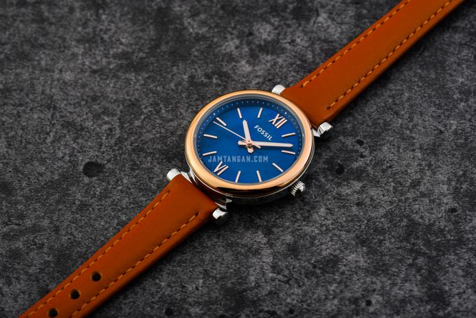Es4701 fossil 2025