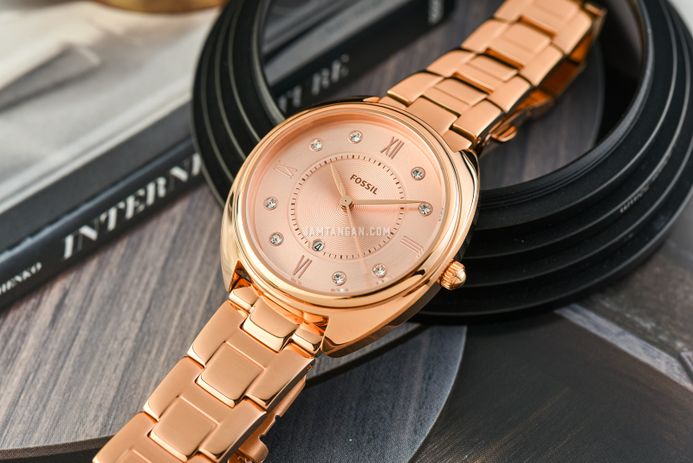 Fossil Gabby ES5070 Ladies Rose Gold Dial Rose Gold  display picture 1
