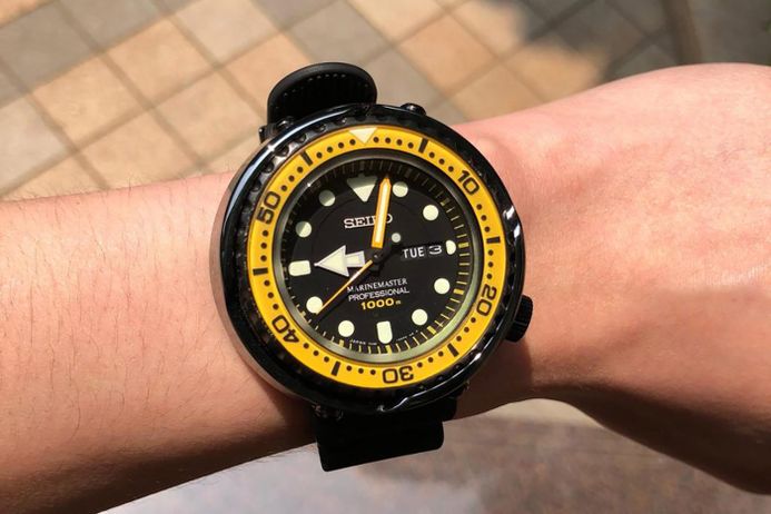 Seiko sbbn027 online