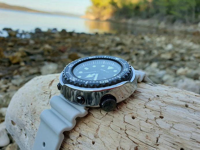 SEIKO PROSPEX sbbn029 ワンワンワン Seiko Prospex SBBN029 50th Anniversary Limited 700 Model
