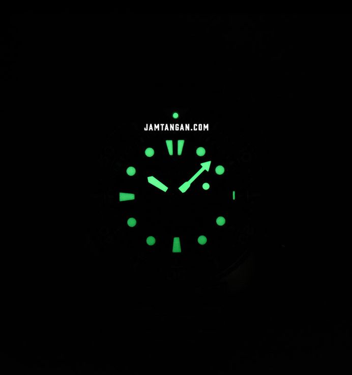 Seiko Prospex SRPJ35K1 Tropical Lagoon Special Edition Turtle Black Dial Stainless Steel Strap