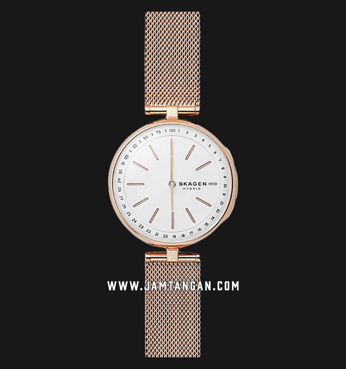 Skagen skt1404 hotsell
