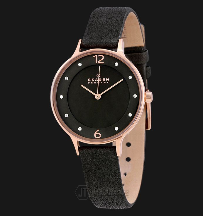 Skagen skw2267 online