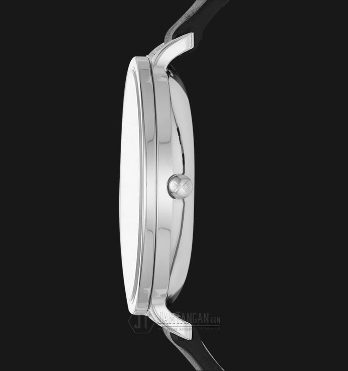 Skagen skw2435 online