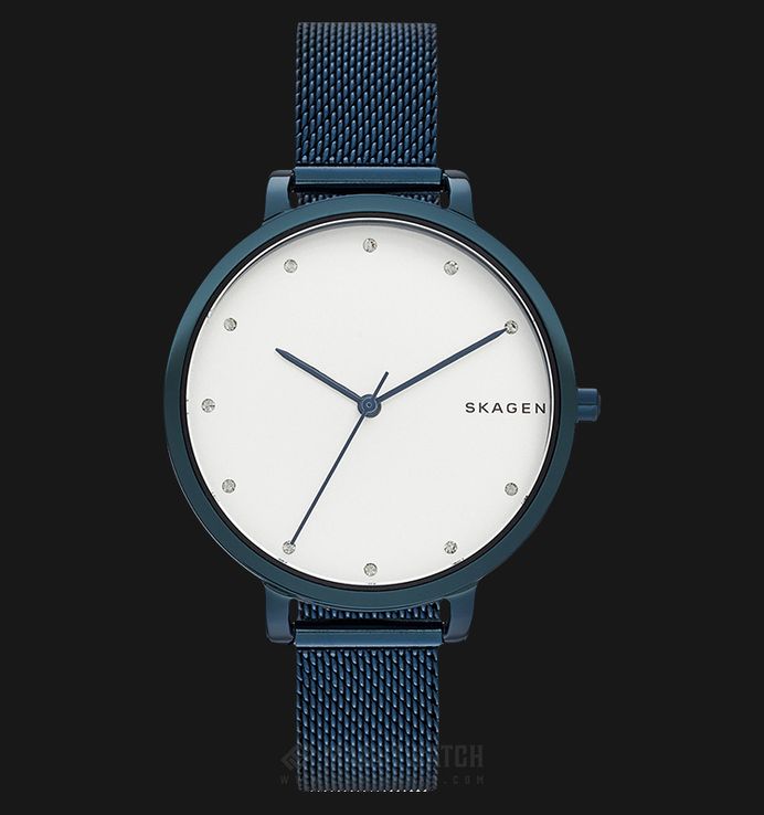 Skagen skw2579 cheap