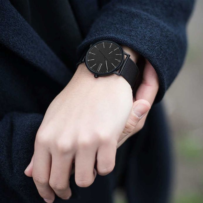 Skagen skw6579 2025
