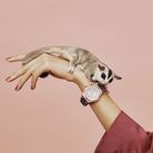 Casio Baby-G MSG Series MSG-S500CG-1ADR Tough Solar Silver Dial Resin Composite Band-9