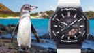 Casio G-Shock GA-B2100CD-1A7JR Charles Darwin Foundation For Galapagos Themed White Resin Band (JDM)-5