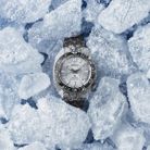 Seiko Prospex SPB333J1 Slim Willard Glacier ‘Save The Ocean’ 110th Anniversary LIMITED EDITION-5