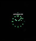 Seiko Prospex SRPJ35K1 Tropical Lagoon Special Edition Turtle Black Dial Stainless Steel Strap-3